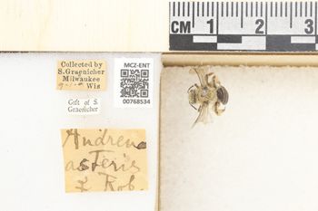 Media type: image;   Entomology 768534 Aspect: Labels